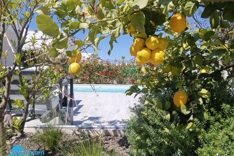 Villa i Algorfa, Alicante, Algorfa - € 630 000 | Ref: SDP05517SMA/3696 - foto 15