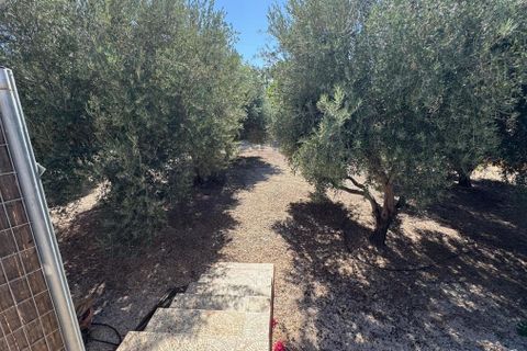 Landejendom i Albatera, Alicante, Albatera - € 280.000 | Ref: CSPX-52283 - foto 24