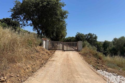 Helårsgrund i Sintra, Lisbon, Sintra - € 265.000 | Ref: 854809 - foto 2