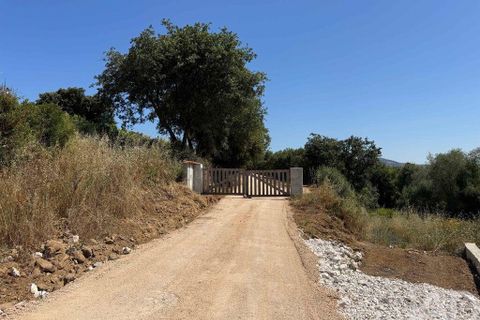 Helårsgrund i Sintra, Lisbon, Sintra - € 265.000 | Ref: 854809 - foto 3