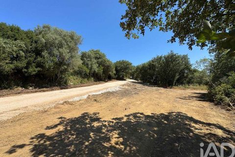 Helårsgrund i Sintra, Lisbon, Sintra - € 265.000 | Ref: 854809 - foto 7