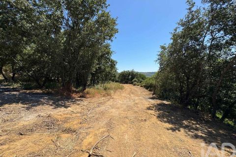 Helårsgrund i Sintra, Lisbon, Sintra - € 265.000 | Ref: 854809 - foto 8