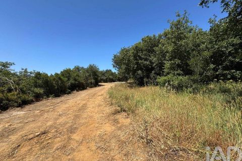Helårsgrund i Sintra, Lisbon, Sintra - € 265.000 | Ref: 854809 - foto 9