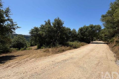 Helårsgrund i Sintra, Lisbon, Sintra - € 265.000 | Ref: 854809 - foto 12