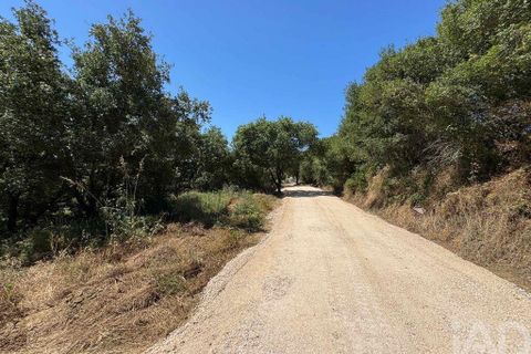 Helårsgrund i Sintra, Lisbon, Sintra - € 265.000 | Ref: 854809 - foto 14
