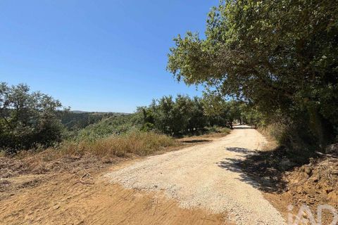Helårsgrund i Sintra, Lisbon, Sintra - € 265.000 | Ref: 854809 - foto 21