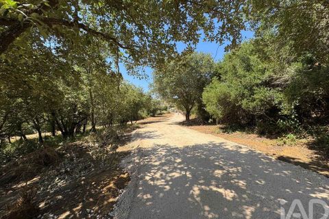 Helårsgrund i Sintra, Lisbon, Sintra - € 265.000 | Ref: 854809 - foto 26