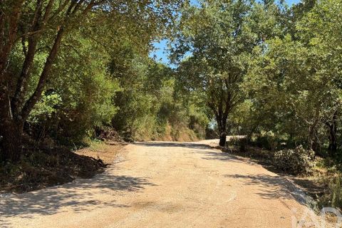 Helårsgrund i Sintra, Lisbon, Sintra - € 265.000 | Ref: 854809 - foto 32