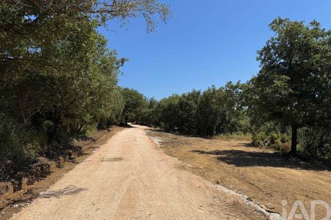 Helårsgrund i Sintra, Lisbon, Sintra - € 265.000 | Ref: 854809 - foto 35