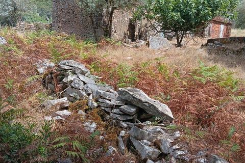Byhus i Alcobaca, Leiria, Alcobaca - € 99.500 | Ref: 839053 - foto 1