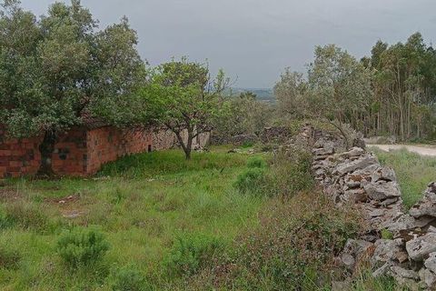 Byhus i Alcobaca, Leiria, Alcobaca - € 99.500 | Ref: 839053 - foto 3