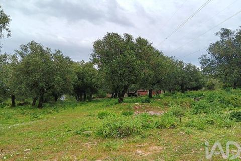 Byhus i Alcobaca, Leiria, Alcobaca - € 99.500 | Ref: 839053 - foto 4