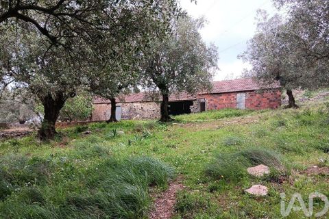 Byhus i Alcobaca, Leiria, Alcobaca - € 99.500 | Ref: 839053 - foto 5