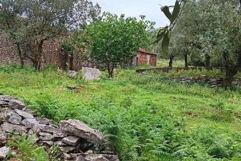 Byhus i Alcobaca, Leiria, Alcobaca - € 99.500 | Ref: 839053 - foto 8