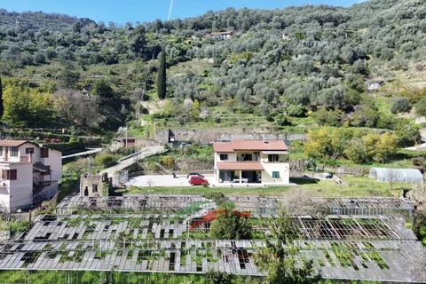 Helårsgrund i Apricale, Imperia, Apricale - € 150.000 | Ref: T221 - foto 3