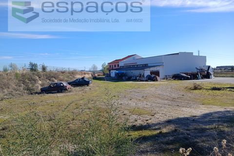 Villa a Castelo Branco, Castelo Branco, Castelo Branco - € 2.123.000 | Ref: 5731/RR_EM - foto 3