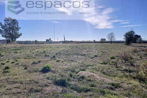 Villa a Castelo Branco, Castelo Branco, Castelo Branco - € 2.123.000 | Ref: 5731/RR_EM - foto 7