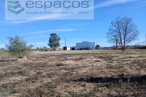 Villa a Castelo Branco, Castelo Branco, Castelo Branco - € 2.123.000 | Ref: 5731/RR_EM - foto 8