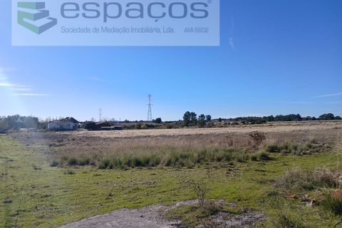Villa a Castelo Branco, Castelo Branco, Castelo Branco - € 2.123.000 | Ref: 5731/RR_EM - foto 11
