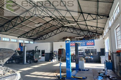 Villa a Castelo Branco, Castelo Branco, Castelo Branco - € 2.123.000 | Ref: 5731/RR_EM - foto 14