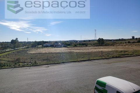 Villa a Castelo Branco, Castelo Branco, Castelo Branco - € 2.123.000 | Ref: 5731/RR_EM - foto 43