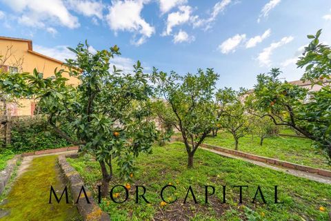 Villa i Tula, Sassari, Tula - € 120.000 | Ref: OSV-04-26 - foto 23