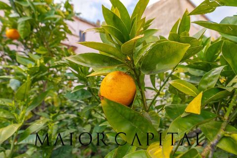 Villa i Tula, Sassari, Tula - € 120.000 | Ref: OSV-04-26 - foto 24