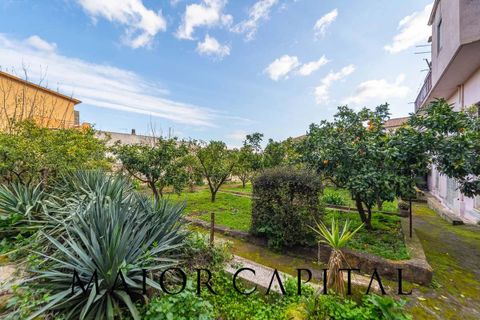 Villa i Tula, Sassari, Tula - € 120.000 | Ref: OSV-04-26 - foto 27