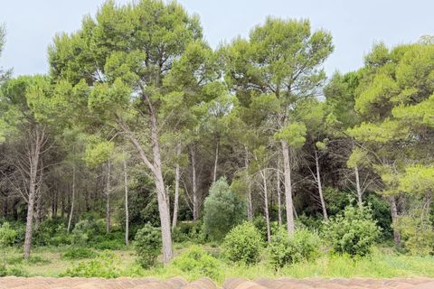 Byhus i L'Escala, Gerona, L'Escala - € 1.190.000 | Ref: 3720 - foto 42