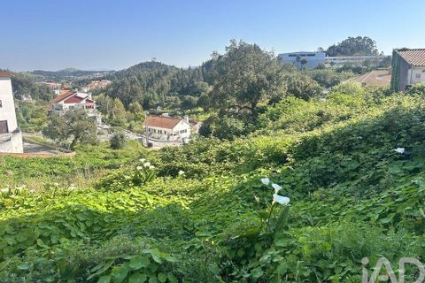 Helårsgrund i Mafra, Lisbon, Mafra - € 1.400.000 | Ref: 848883 - foto 7