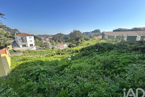Helårsgrund i Mafra, Lisbon, Mafra - € 1.400.000 | Ref: 848883 - foto 9