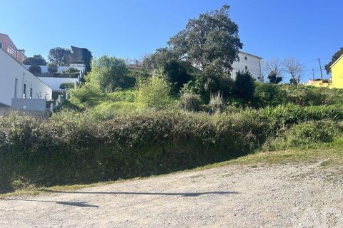 Helårsgrund i Mafra, Lisbon, Mafra - € 1.400.000 | Ref: 848883 - foto 13