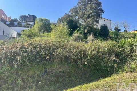 Helårsgrund i Mafra, Lisbon, Mafra - € 1.400.000 | Ref: 848883 - foto 16