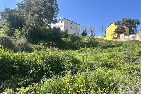 Helårsgrund i Mafra, Lisbon, Mafra - € 1.400.000 | Ref: 848883 - foto 19