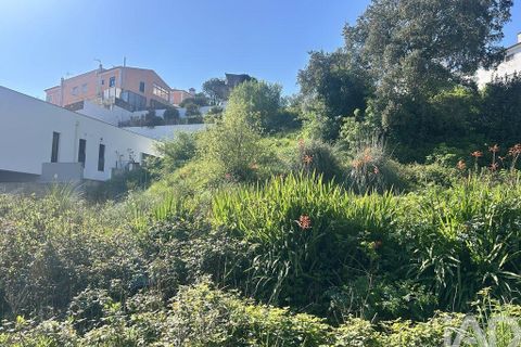 Helårsgrund i Mafra, Lisbon, Mafra - € 1.400.000 | Ref: 848883 - foto 20