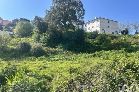 Helårsgrund i Mafra, Lisbon, Mafra - € 1.400.000 | Ref: 848883 - foto 22