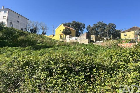 Helårsgrund i Mafra, Lisbon, Mafra - € 1.400.000 | Ref: 848883 - foto 23