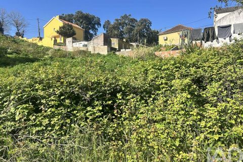 Helårsgrund i Mafra, Lisbon, Mafra - € 1.400.000 | Ref: 848883 - foto 24