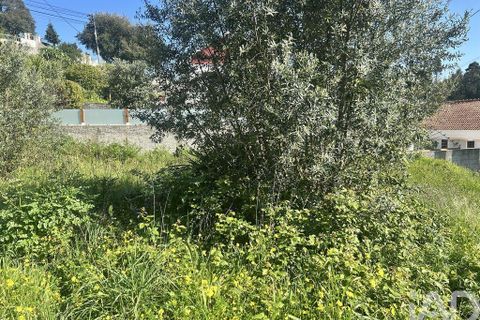 Helårsgrund i Mafra, Lisbon, Mafra - € 1.400.000 | Ref: 848883 - foto 25