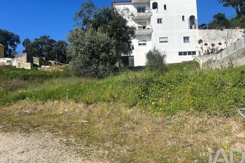 Helårsgrund i Mafra, Lisbon, Mafra - € 1.400.000 | Ref: 848883 - foto 28