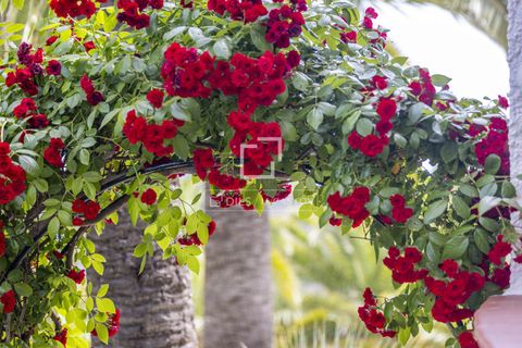 Villa i Javea, Alicante, Javea - € 1.195.000 | Ref: JAV60159 - foto 50