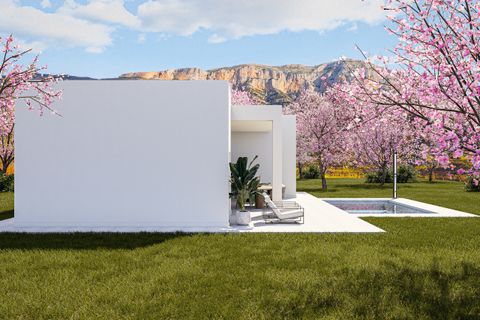 Villa a Jumilla, Murcia, Jumilla - € 299.000 | Ref: 771862 - foto 3