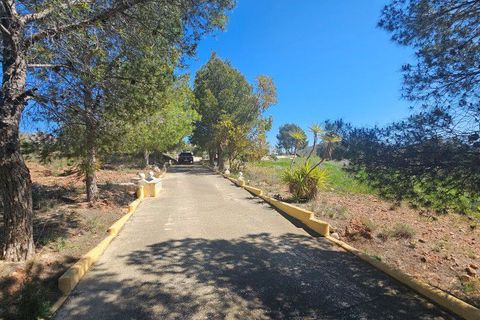 Masia a Lorca, Murcia, Lorca - € 425.000 | Ref: NHA1035 - foto 4