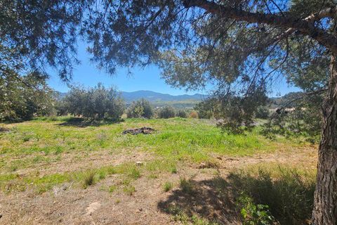 Masia a Lorca, Murcia, Lorca - € 425.000 | Ref: NHA1035 - foto 5