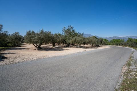 Finca i Roquetes, Tarragona, Roquetes - € 19.000 | Ref: 342 - foto 7
