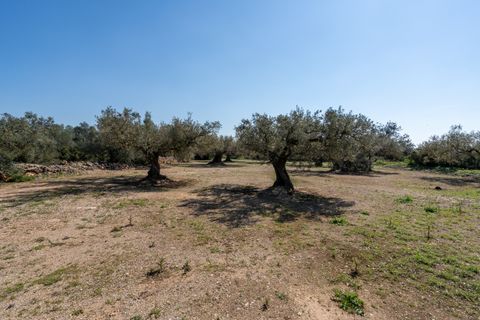 Finca i Roquetes, Tarragona, Roquetes - € 19.000 | Ref: 342 - foto 2
