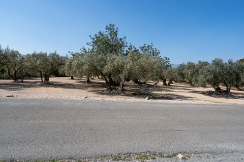 Finca i Roquetes, Tarragona, Roquetes - € 19.000 | Ref: 342 - foto 6