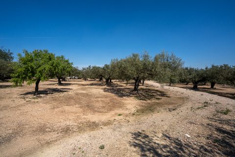 Finca i Roquetes, Tarragona, Roquetes - € 19.000 | Ref: 342 - foto 3