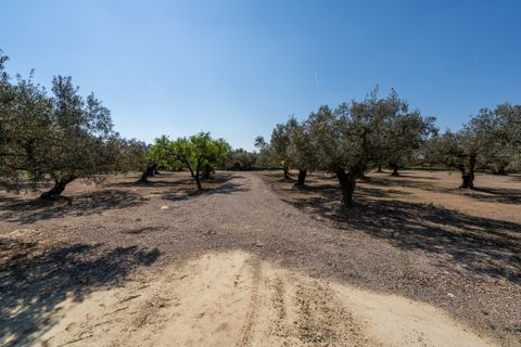Finca i Roquetes, Tarragona, Roquetes - € 19.000 | Ref: 342 - foto 5