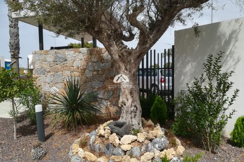 Bungalow i Torrevieja, Alicante, Torrevieja - € 330.000 | Ref: NB-44895 - foto 40